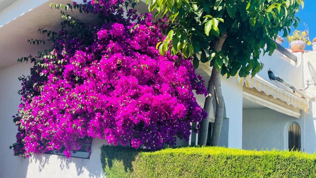 Modern Garden Apartment With A Fantastic Sea View And A Private Garden Sitio de Calahonda Esterno foto